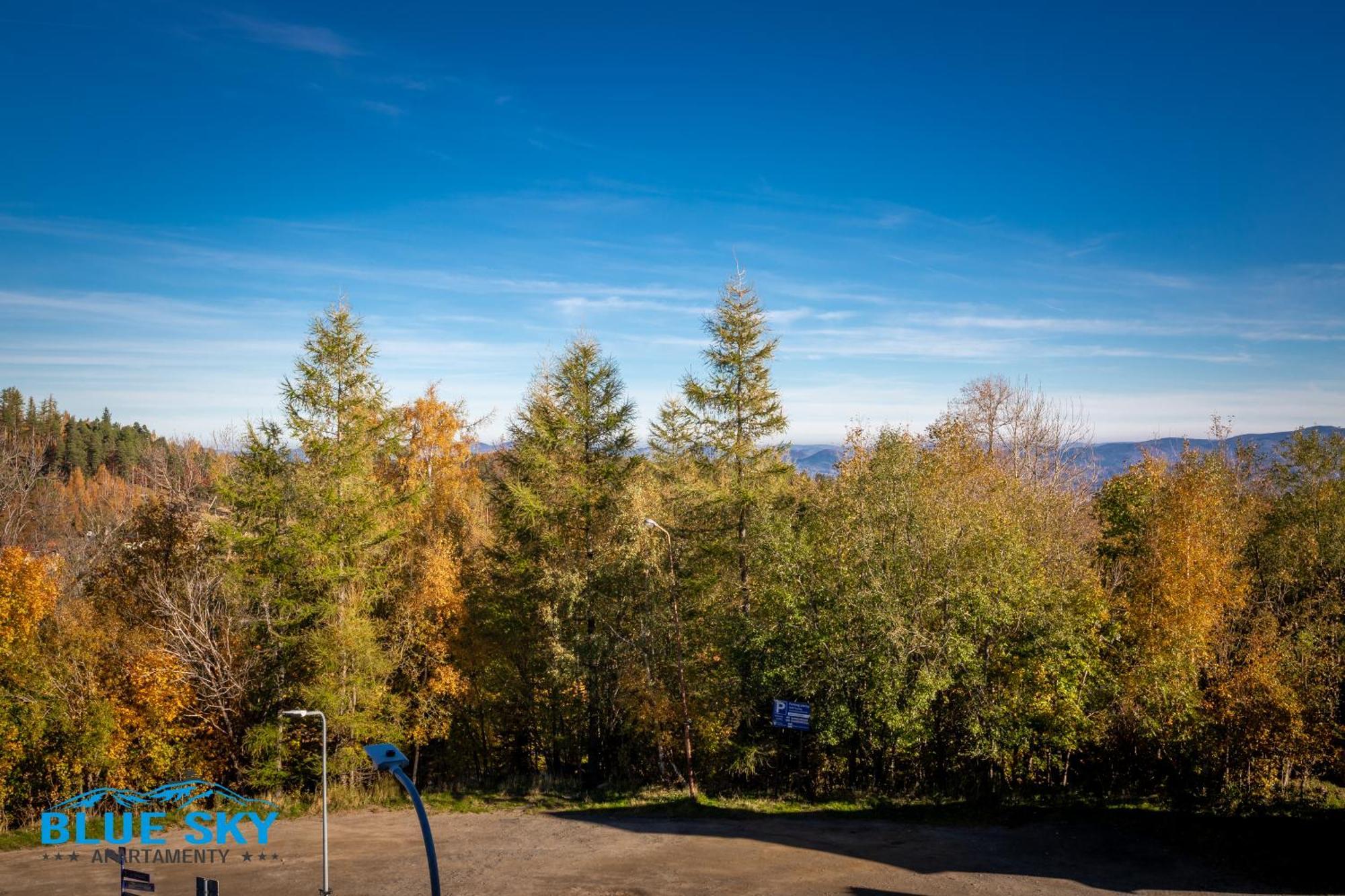 Apartamenty Bluesky - Karkonoska 13, Z Widokiem Na Gory, Blisko Szlakow I Wyciagow, W Zielonej Okolicy Karpacz Oda fotoğraf